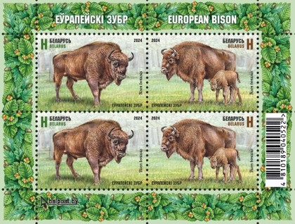 Európai bölény