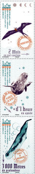 Fauna