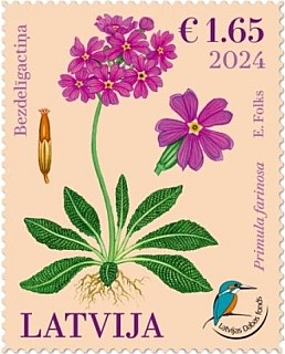 Kankalin