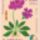 Kankalin_2191740_2037_t