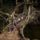 Kellemes_kirandulo_idot__2191993_8132_t