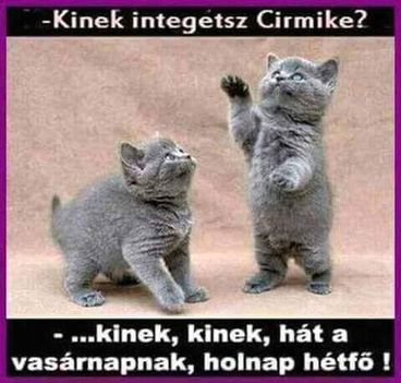 Kinek !