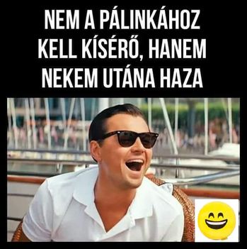 Kisérő !