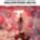 Meglepetes__2191859_9958_t