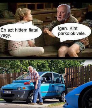 Multipla !