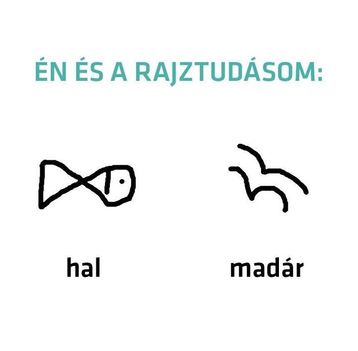 Rajztudás !