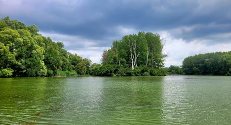 Szigetköz, Öregszigeti Duna-ág, Kisbodak