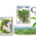 Tea_nap_2191708_7561_t