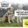 Vezetes__2191787_4759_t