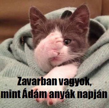 Zavarban vagyok !