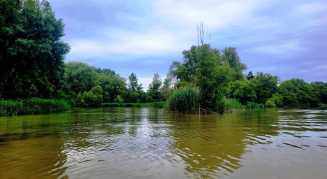 A Kisbodaki Liba tó kiágazásánál a Televényi Duna-ágon