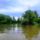 A_kisbodaki_liba_to_kiagazasanal_a_televenyi_dunaagon_2192298_3318_t
