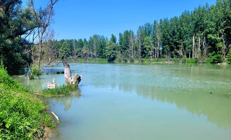 A revitalizált Bagaméri Duna-ág, Ásványráró