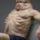Az_emberi_test_ami_biztosan_tulelne_egy_autobalesetet_graham__ausztral_kozlekedes_baleseti_bizottsag_2192619_3408_t