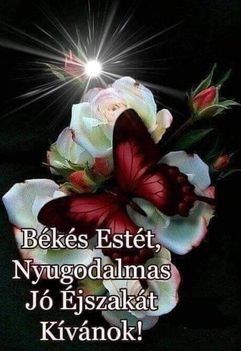 Csodás napot kivánok sok szeretettel!!!!!