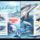 Delfinek-001_2192528_8964_t