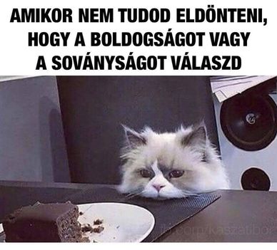 Dilemma !