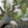 Elfaradt_a_macsek__2192673_2239_t