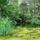 Ertekes_biotop_a_papszigeti_dunaag_a_kiagazasanal_kisbodak_2192338_1065_t