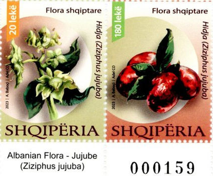 Flóra