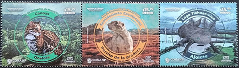 Flóra és fauna