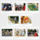 Fotok_2192608_9788_t