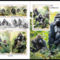 Gorillák