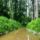 Hagyomanyos_arteri_fokgazdalkodas_a_gombocos_szigeten_lipot_20240609_2192202_9792_t