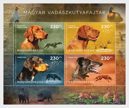Ifjúságért 2024