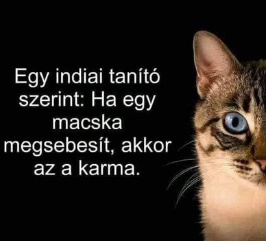 Karma !