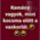 Kemeny_vagyok__2192490_9759_t