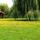 Kerekto_szabadido_kozpont_2024_julius_2_2192666_4643_t
