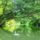 Kisvesszosi_dunaag_kisbodakon_ahol_osszeernek_a_fak_2192126_5479_t