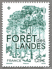 Landes erdő