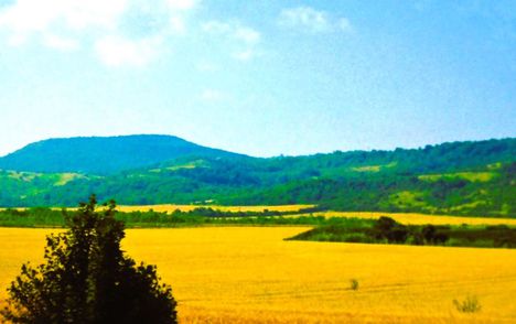 Nyár.
