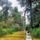 Nyaras_szigeti_vizes_elohelyi_fok_2192246_8115_t