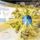 Olimpiai_csapat_2192977_7841_t