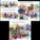 Olusteei_csata_2192844_2265_t