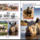 Orrszarvu_2192181_6362_t