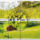 Panorama-002_2192011_9662_t