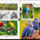 Papagajok_2192257_4424_t