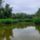 Revitalizalt_vizes_elohely_a__liba_to_kisbodakon_2192364_8096_t
