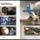Robert_oppemheimer_2192916_9211_t