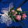 Rozsak-009_2192694_5126_t
