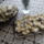 Suti-005_2192617_3305_t