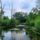 Szigetkoz_az_edesvizi_meduzak_tavan_dunakilitinel__1_2192075_7872_t