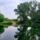 Szigetkoz_az_edesvizi_meduzak_tavan_dunakilitinel__2_2192076_8349_t
