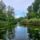 Szigetkoz_az_edesvizi_meduzak_tavan_dunakilitinel__3_2192077_9271_t