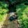 Vadaskerti_csatorna_hedervar_2192969_6285_t
