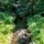 Vadaskerti_csatorna_hedervar_3_2192968_9938_t